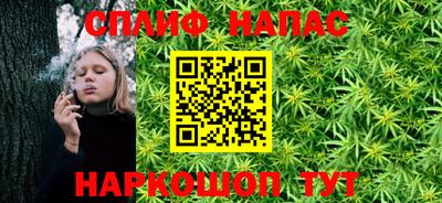 индика Гагарин