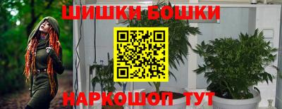 индика Гусев