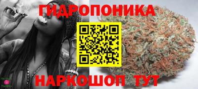 не бодяженный Гатчина