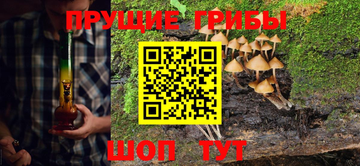 Нижневартовск  Псилоцибиновые грибы Psilocybine cubensis  Вход с VPN 